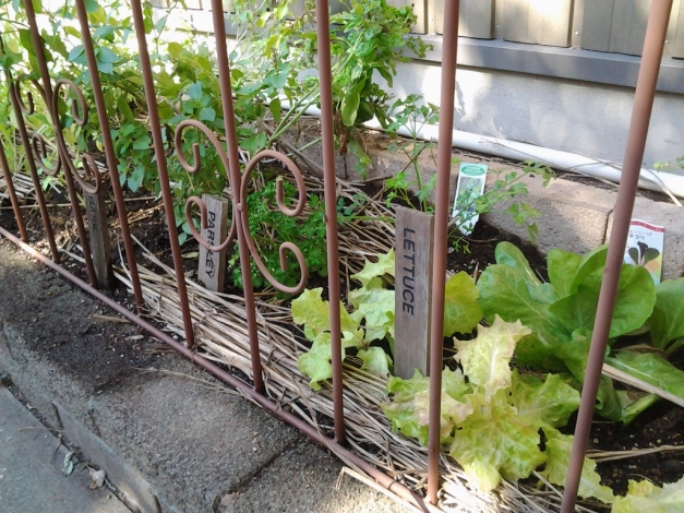 �Х��롦�ۡ��꡼�Х��롦�ѥ���