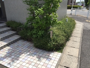 befor
