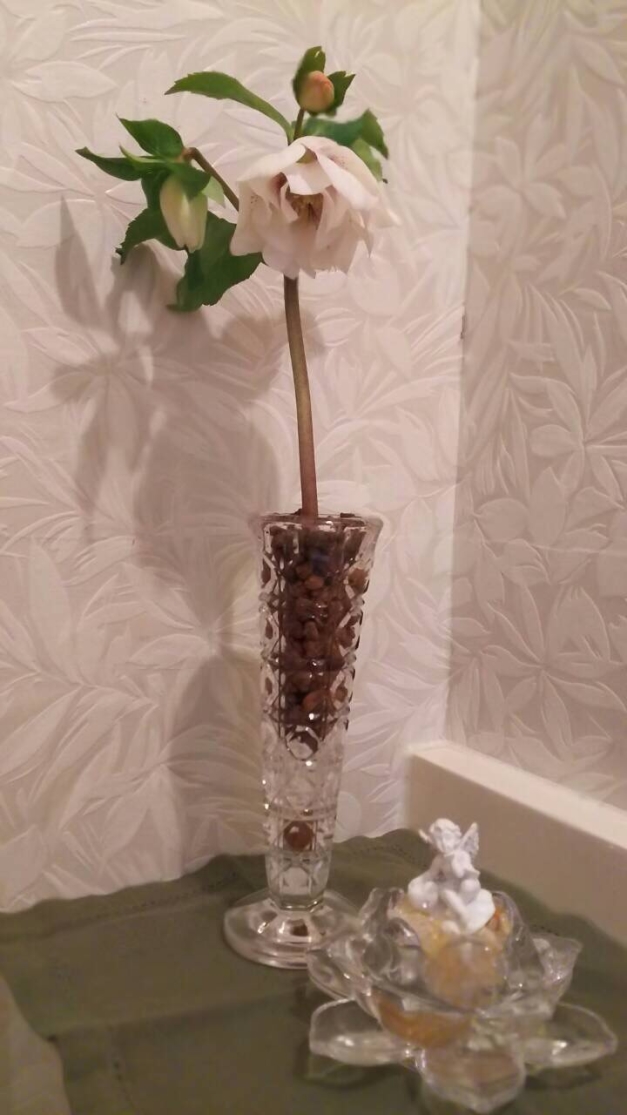 ���ꥹ�ޥ�������