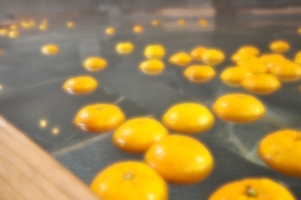 ���᡼��