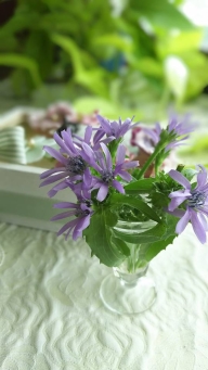 19059375_1886293524717790_7896189754853076221_n