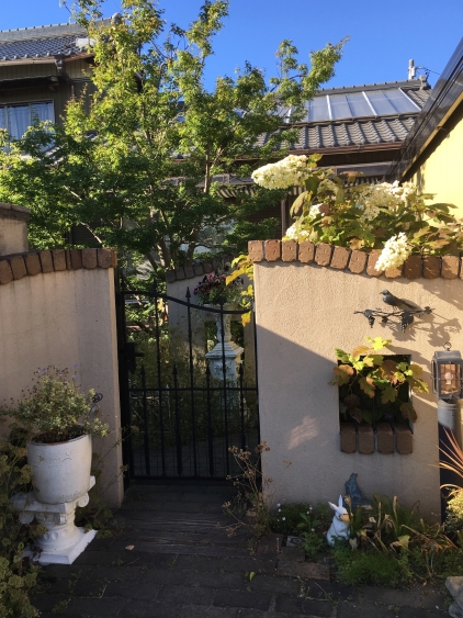image2 (3)