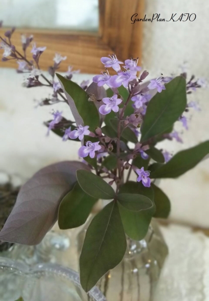 ���Υ˥󥸥�ܥ���