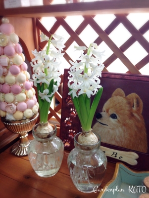 2015.2�ҥ䥷��